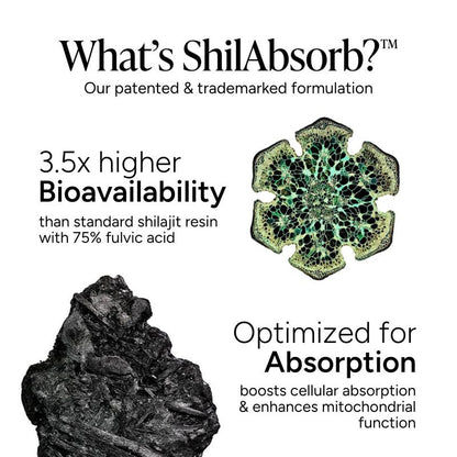 Root Labs | Alpha Gummies